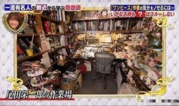 尾田工作室最新爆料,揭秘海贼王新篇章与神秘角色揭晓