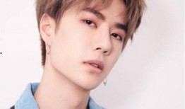 王一博最新绯闻爆料,揭秘背后真相与粉丝反应