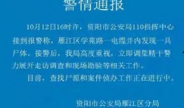 四川资阳爆料新闻最新,最新爆料揭示惊人真相，事件进展追踪
