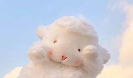 三只小羊网红最新爆料,揭秘幕后故事与成长历程