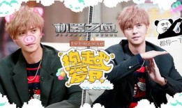 北电男人帮最新爆料,最新爆料揭秘娱乐圈幕后真相