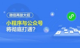 小程序最新爆料咨询公司,咨询公司深度解析行业趋势与未来展望”