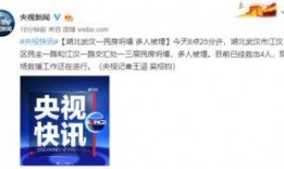 武汉最新新闻爆料事件,神秘事件引发社会关注