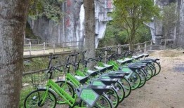 镇江景区爆料事件最新,揭秘背后真相，游客权益如何保障？